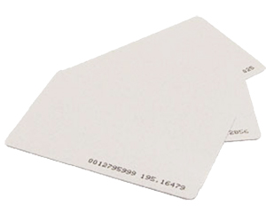 Card RFID (set da 10 Pz.)